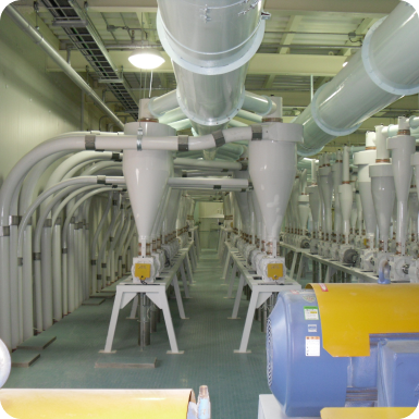 제분 및 식품 관련 이미지